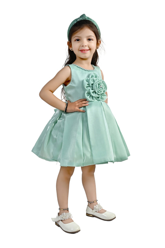 Fancy Party Dress-24HA00789